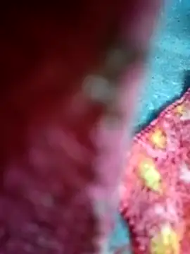 Sharmili xx online show from 09-25-25, 08:23