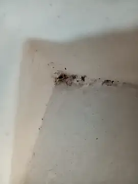 Snapshot of Punam_jindal chatting on 10-07-25, 06:10 Punam jindal online show from 10-07-25, 06:10