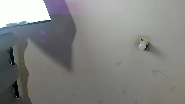 Ambeer fox  online show from 02-23-26, 07:55