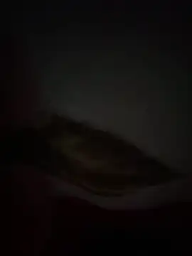 Flash356 online show from 02-24-26, 09:13