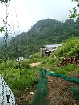 Snapshot of keobong-00 chatting on 09-14-25, 02:44 keobong-00 online show from 09-14-25, 02:44
