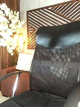 B Wild online show from 11-14-25, 03:38