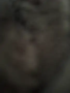 Snapshot of Immerhartundgeil chatting on 05-09-26, 06:18 Immerhartundgeil online show from 05-09-26, 06:18