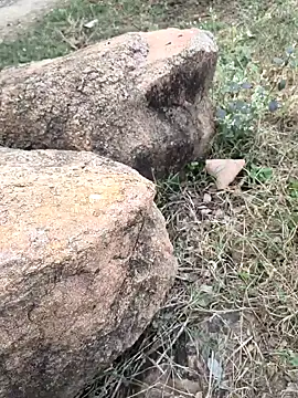 Ag punam online show from 11-16-25, 10:43