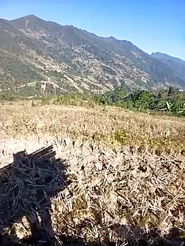 kemtuoi-sex online show from 11-30-25, 03:32