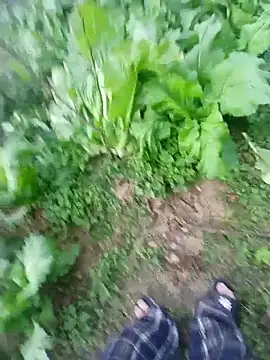 kemtuoi-sex online show from 01-17-26, 10:31