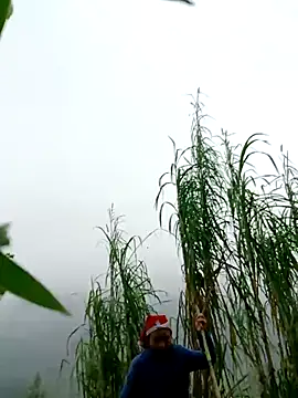 kemtuoi-sex online show from 04-01-26, 02:56