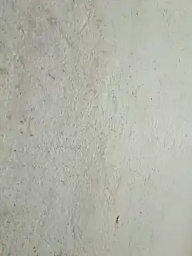 kata-00 online show from 03-15-26, 04:18