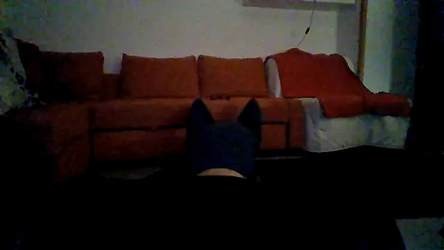 Snapshot of AntonioNice_iml chatting on 11-02-25, 06:16 AntonioNice iml online show from 11-02-25, 06:16