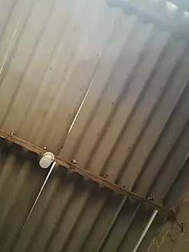 kiimferv online show from 11-10-25, 02:38