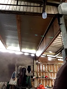 SSexykute3456 online show from 10-17-25, 03:10