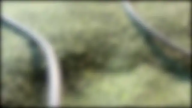 AzureEyes online show from 02-24-26, 02:37