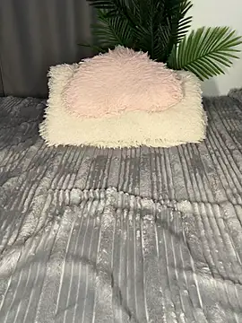 Andrestarr online show from 04-08-26, 06:30