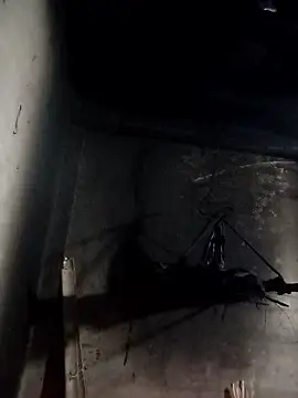 Dung x online show from 01-10-26, 01:02