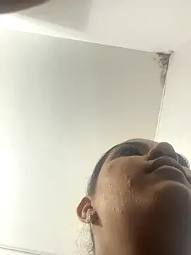 SienaWild online show from 11-26-25, 03:18