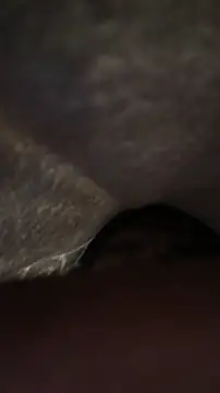 Snapshot of panganamno chatting on 11-15-25, 05:09 panganamno online show from 11-15-25, 05:09