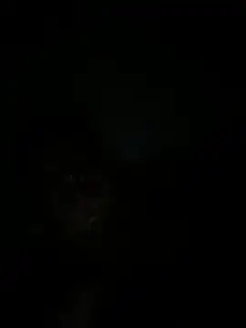 RangingWarranty online show from 10-20-25, 07:20