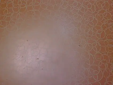 soniya babby online show from 11-23-25, 04:01