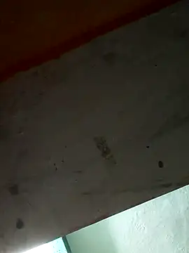 Sort xr12 online show from 12-17-25, 02:56