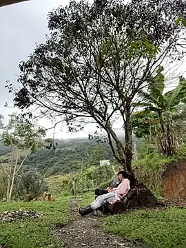 Snapshot of sky-wolves chatting on 10-18-25, 04:19 sky-wolves online show from 10-18-25, 04:19