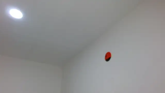 jaico santos online show from 02-16-26, 11:12