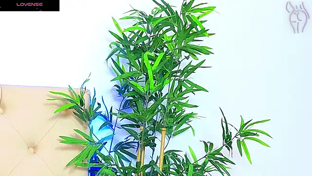 CoraVex online show from 09-16-25, 06:03