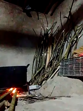 donna-bae online show from 03-09-26, 11:36