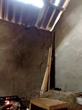 donna-bae online show from 03-13-26, 04:30