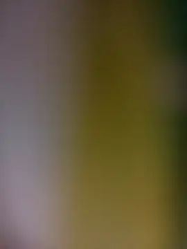 tulipsexy online show from 02-19-26, 03:35