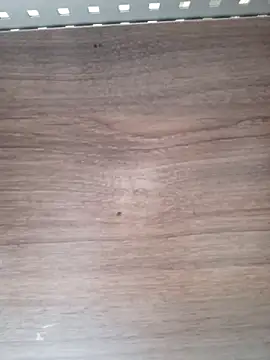 ValeriaLove43211 online show from 04-06-26, 07:53