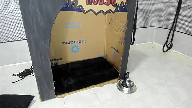 BDSM MEDUZA online show from 02-13-26, 03:24