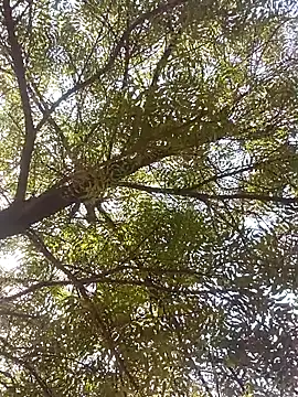 ipvk online show from 04-08-26, 04:23