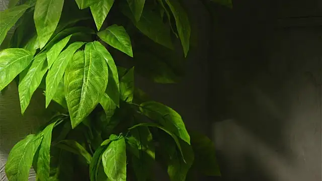 Snapshot of WaiMarxen chatting on 09-19-25, 11:22 WaiMarxen online show from 09-19-25, 11:22