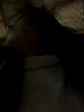 Halyy xx online show from 11-08-25, 11:36