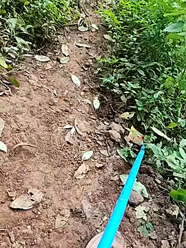 telugumodda4396 online show from 09-26-25, 06:28