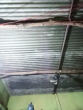 Snapshot of Haliya88 chatting on 10-29-25, 10:55 Haliya88 online show from 10-29-25, 10:55