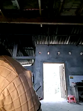 xuxulovezz online show from 12-03-25, 12:18