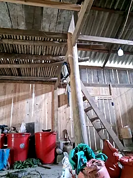 xuxulovezz online show from 04-04-26, 04:44