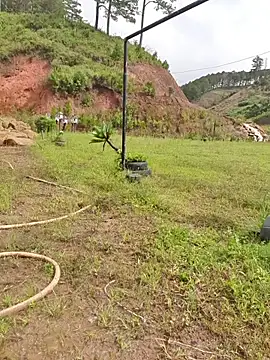 Helen-Tran online show from 11-21-25, 03:27