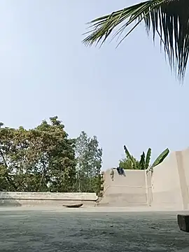 reya743 online show from 02-03-26, 09:47