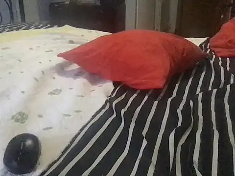 paula19800 online show from 09-24-25, 06:11