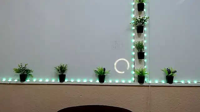 Hoot Dude  online show from 11-19-25, 02:28