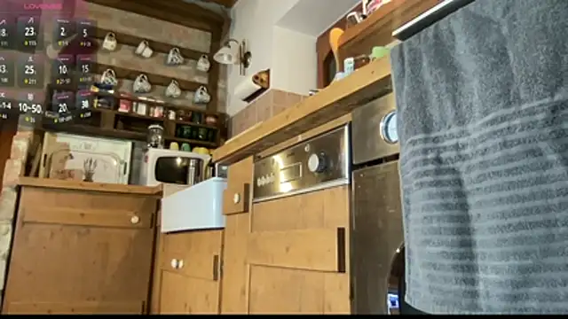 vani vibez online show from 11-23-25, 05:02