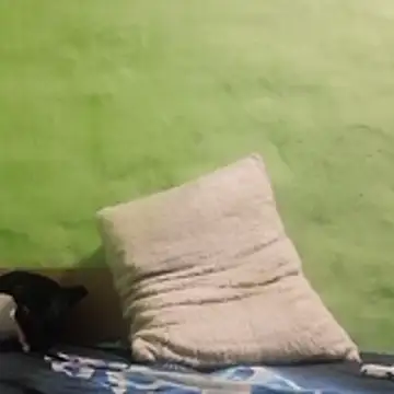 kaland69 online show from 11-09-25, 09:24