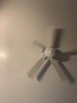 pmonie online show from 11-16-25, 12:05