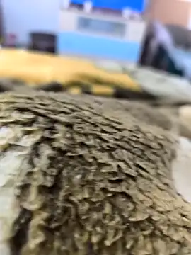 sebas sexo goloso online show from 11-14-25, 08:13