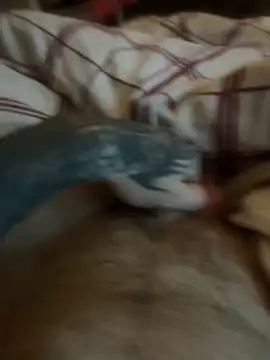 Thebald-topher online show from 09-28-25, 11:10