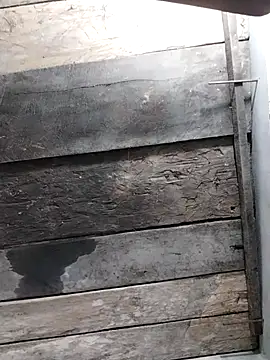 zhen-zo online show from 04-17-26, 11:24