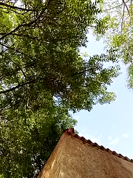 Rs sonam online show from 04-08-26, 10:48