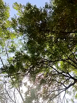 Rs sonam online show from 04-13-26, 09:15